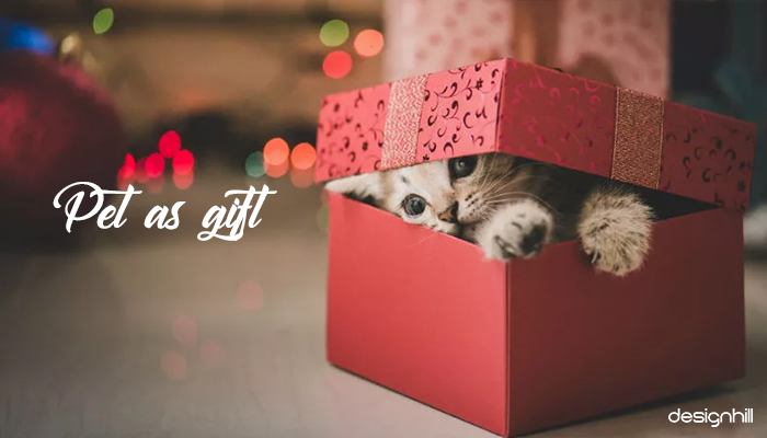 Pet As Gift